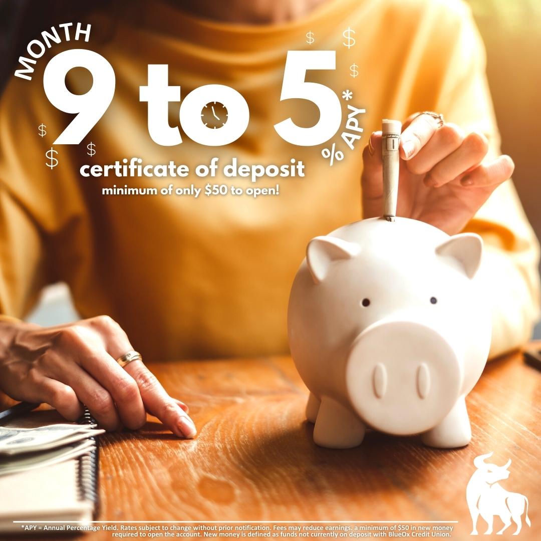 9 to 5 Certificate Special - BlueOx Credit Union 