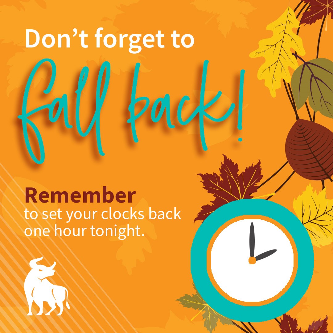 Daylight Savings - Don't Forget to Fall Back - BlueOx Credit Union