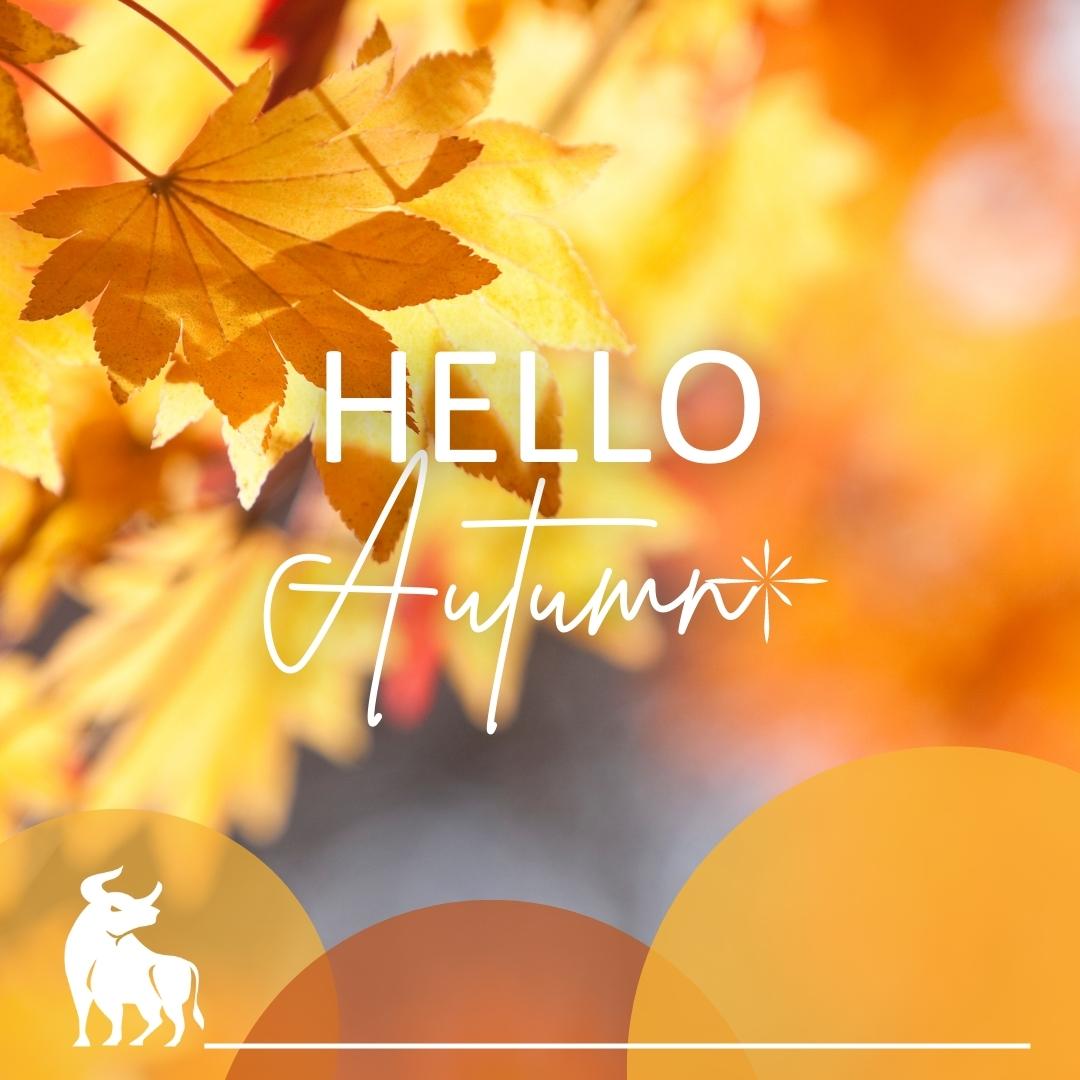Hello Autumn! - BlueOx Credit Union